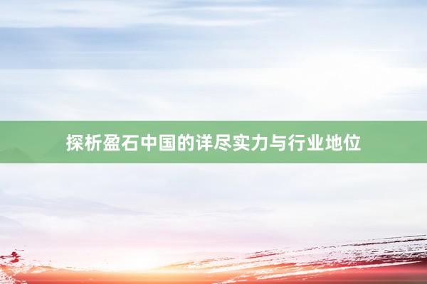 探析盈石中国的详尽实力与行业地位